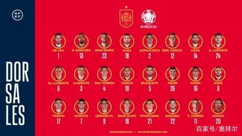 西班牙12欧洲杯完整名单（西班牙欧洲杯26人大名单）